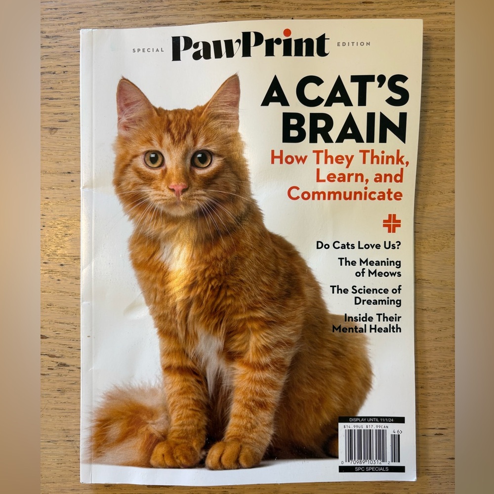 $2 🐈 Paw Print [Special Edition]: A Cat's Brain